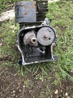 IMG_1098.jpeg