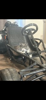 IMG_2182.jpeg
