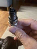 IMG_2525.jpeg