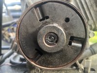 IMG_4810.jpeg