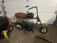 IMG_5443.jpeg IMG_5443.jpeg