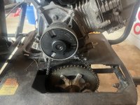 IMG_5513.jpeg
