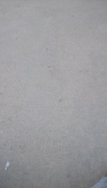 IMG_20231122_142900.jpg