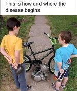 IMG_2264.jpeg