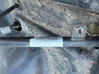 IMG_8037.jpeg IMG_8037.jpeg