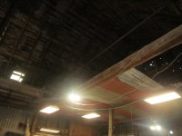 IMG_3734.JPG
