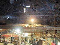 IMG_3744.JPG