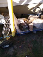 IMG_20201018_163537604.jpg