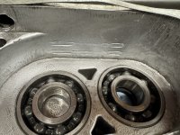IMG_9013.jpeg