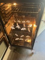 IMG_7170.jpeg