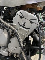 IMG_5485.jpeg IMG_5485.jpeg