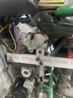 IMG_5491.jpeg IMG_5491.jpeg