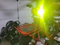 1000002383.jpg 1000002383.jpg