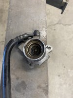 IMG_5540.jpeg IMG_5540.jpeg