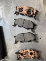 IMG_5533.jpeg IMG_5533.jpeg