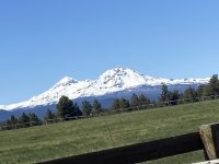 IMG_5582.jpeg