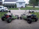 green back.jpg