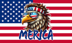 1781731334656.png 1781731334656.png