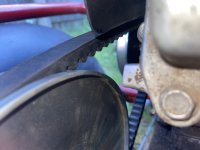 IMG_2079.jpeg