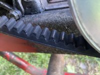 IMG_2077.jpeg