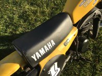 IMG_8389.jpeg