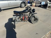 IMG_1632.jpeg