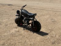 IMG_1728.jpeg