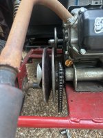 IMG_6199.jpeg
