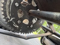 IMG_2106.jpeg