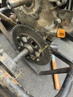 IMG_5822.jpeg