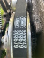 IMG_2479.jpeg
