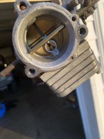 IMG_9195.jpeg IMG_9195.jpeg