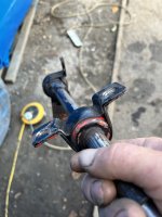 IMG_2585.jpeg