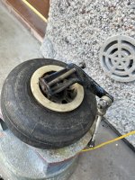 IMG_2586.jpeg