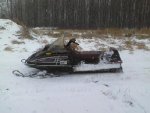 sled.jpg