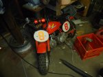 DSC06807.jpg