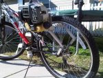 IMG-20120106-00395.jpg