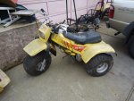 DSC07256.jpg