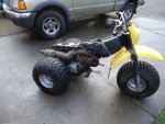 DSC07261.jpg