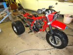 DSC07397.jpg