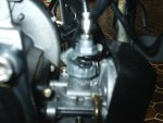 PIC_0019.jpg