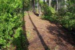The New trail Scott Built 002.jpg