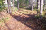 The New trail Scott Built 003.jpg