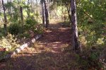 The New trail Scott Built 008.jpg