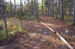 The New trail Scott Built 014.jpg