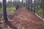 The New trail Scott Built 022.jpg