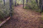 The New trail Scott Built 031.jpg