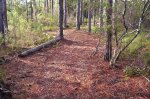The New trail Scott Built 032.jpg