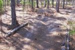 Gokart track well used 014.jpg