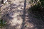 Gokart track well used 019.jpg